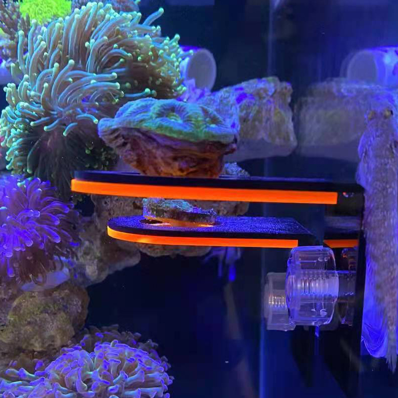 Marine Coral - Akvaryum Akrilik Floresan Mercan Yetiştirme Tutucu