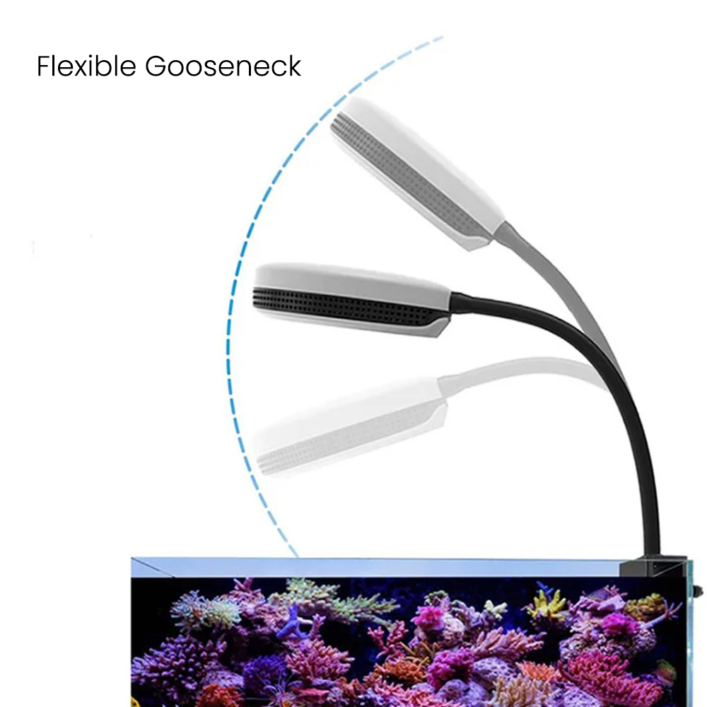 Spectra SP20 20W Akvaryum LED  - Marine Coral incelemesi ve fiyatı