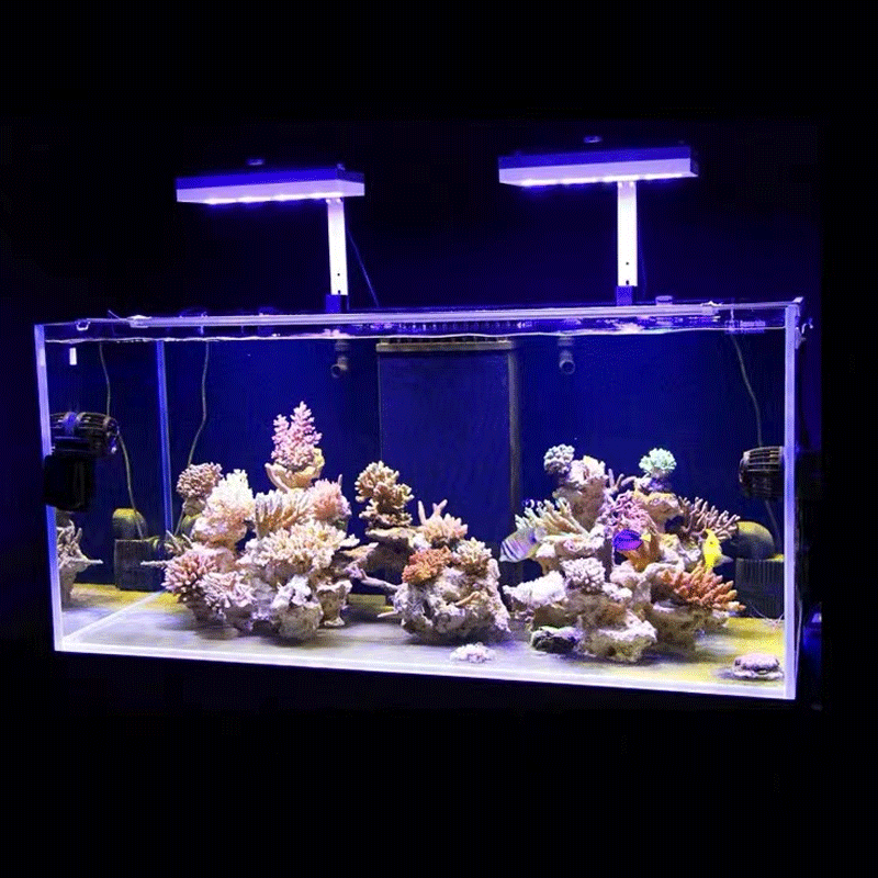 Aqua Illumination AI Hydra 32H - Marine Coral incelemesi ve fiyatı