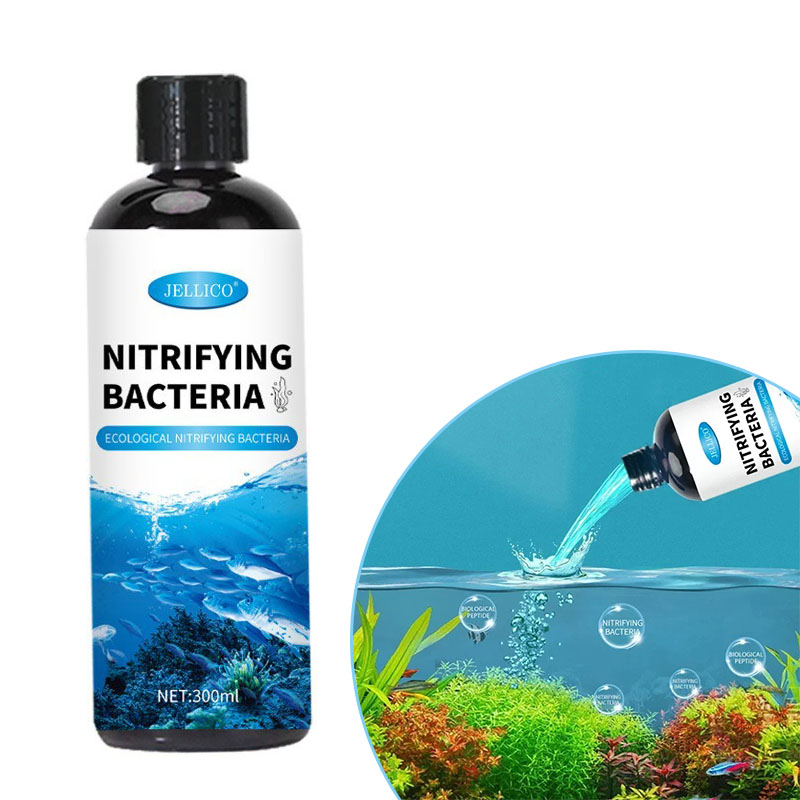 Nitrifikasyon Bakteri Sıvı Bal - Ocean Aquarium incelemesi ve fiyatı