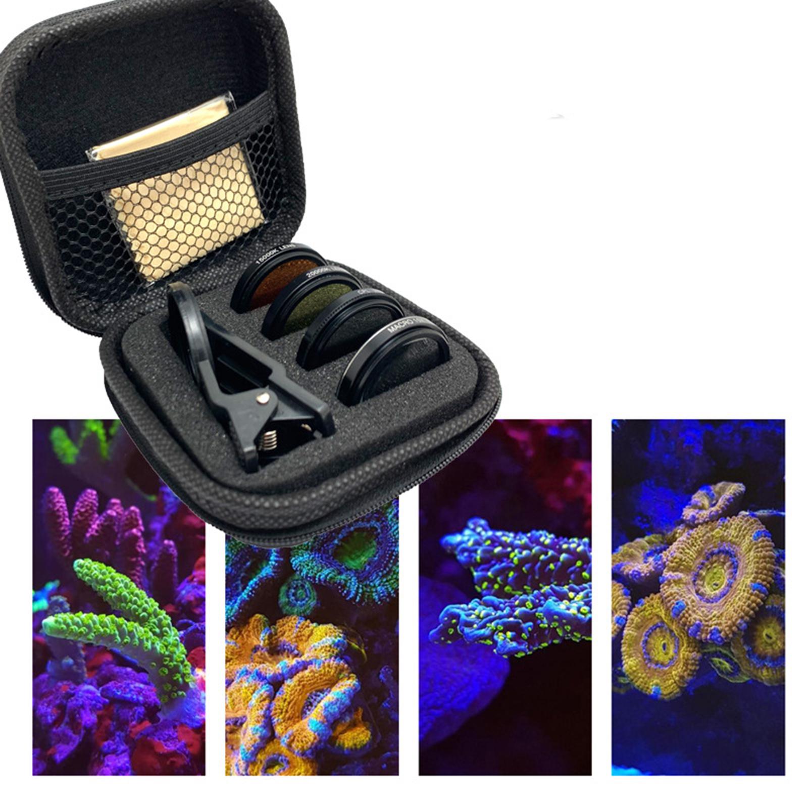 Balık Gözü Lensli Kamera, Merc - Marine Aquarium incelemesi ve fiyatı