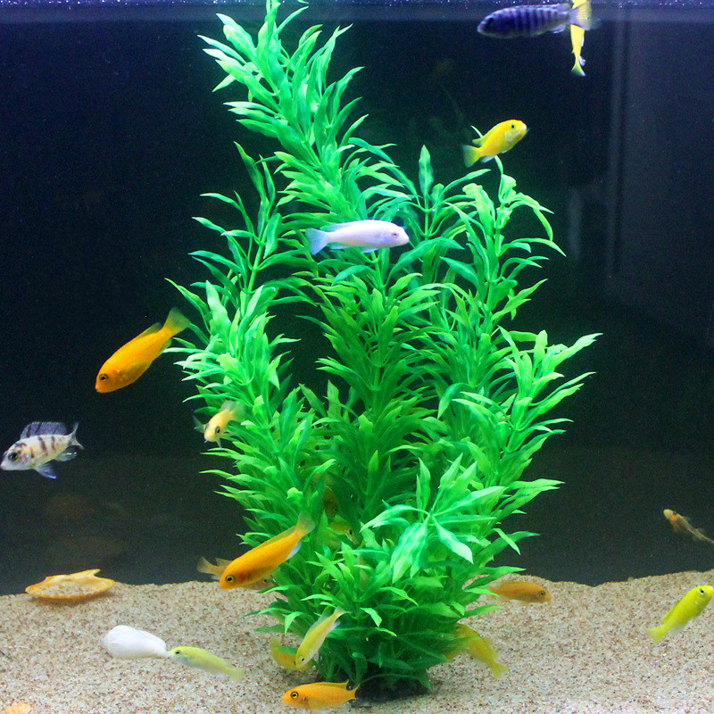 50 CM Yapay Balık Tankı Nadir  - Marine Fish Tank incelemesi ve fiyatı
