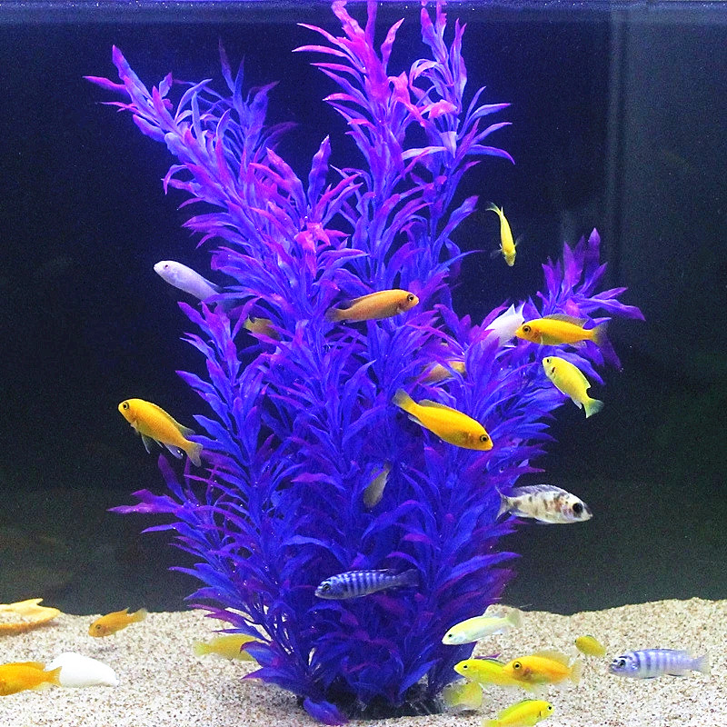 50 CM Yapay Balık Tankı Nadir  - Marine Fish Tank incelemesi ve fiyatı