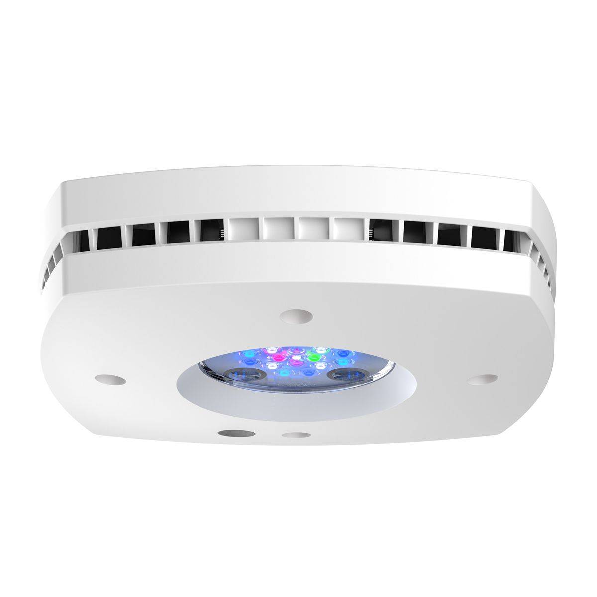 Prime 16HD LED Resif Işığı, Or - Reef Lighting incelemesi ve fiyatı