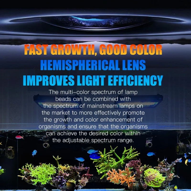 A8Pro II Max Mercan Kayalığı D - Marine Coral incelemesi ve fiyatı